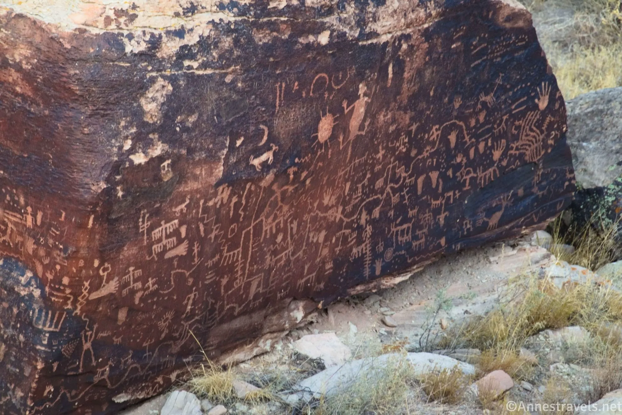 A close view of a dark rock panel at Newspaper Rock covered in petroglyph carvings, photographed in natural desert light