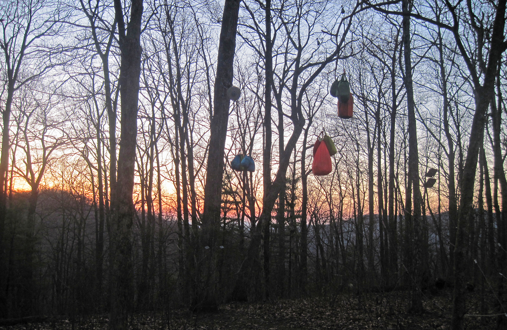 A closed bear-resistant canister sitting on bare ground near a log in a mountain campsite at sunset, with a tent visible in the distance, realistic outdoor photography