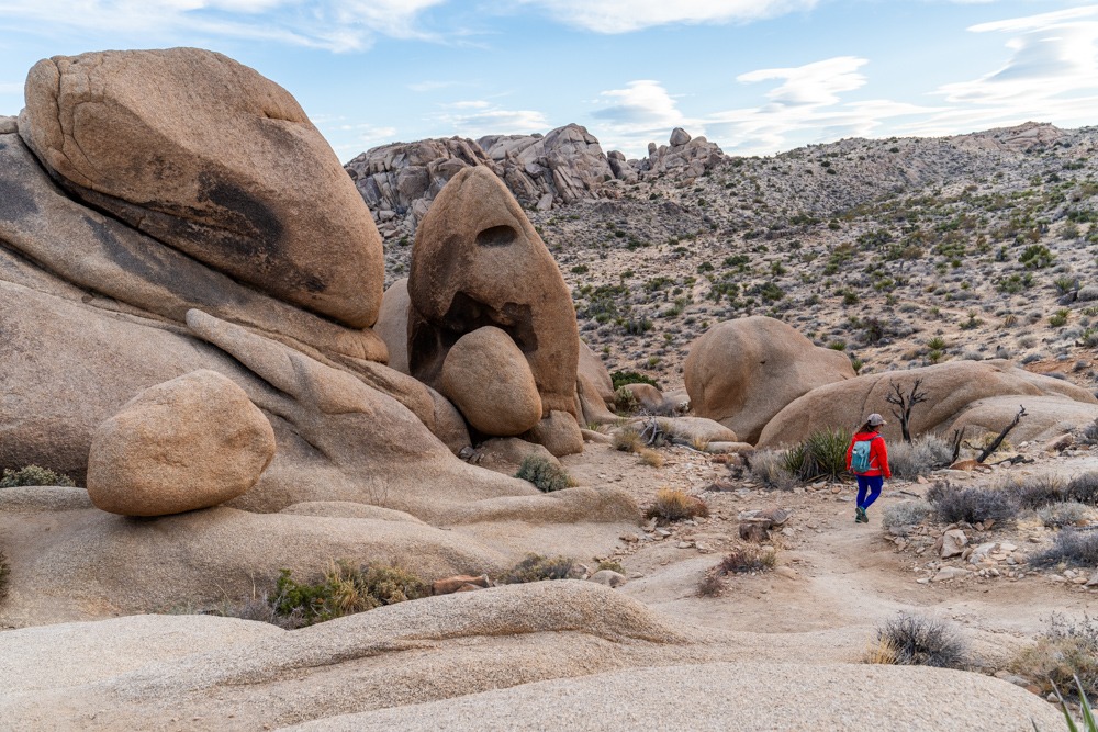A desert loop trail weaving between rounded granite boulders and Joshua trees under a bright blue sky, photorealistic travel photography