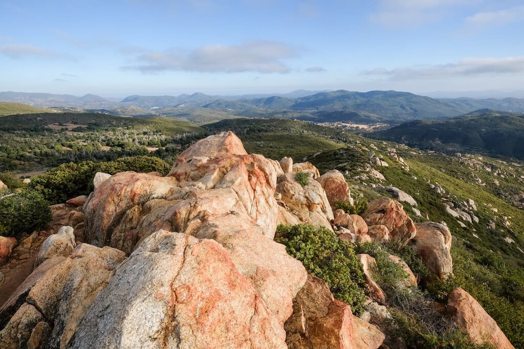 A dirt hiking trail in Cuyamaca Rancho State Park lined with pines and oak trees under a bright blue sky