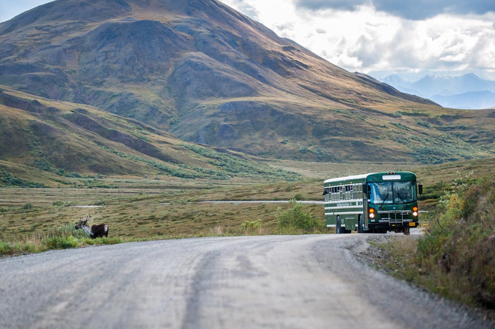 A green Denali National Park shuttle bus parked on the gravel Park Road near Polychrome Pass, with rolling tundra hills and distant mountains under a bright summer sky, real travel photography