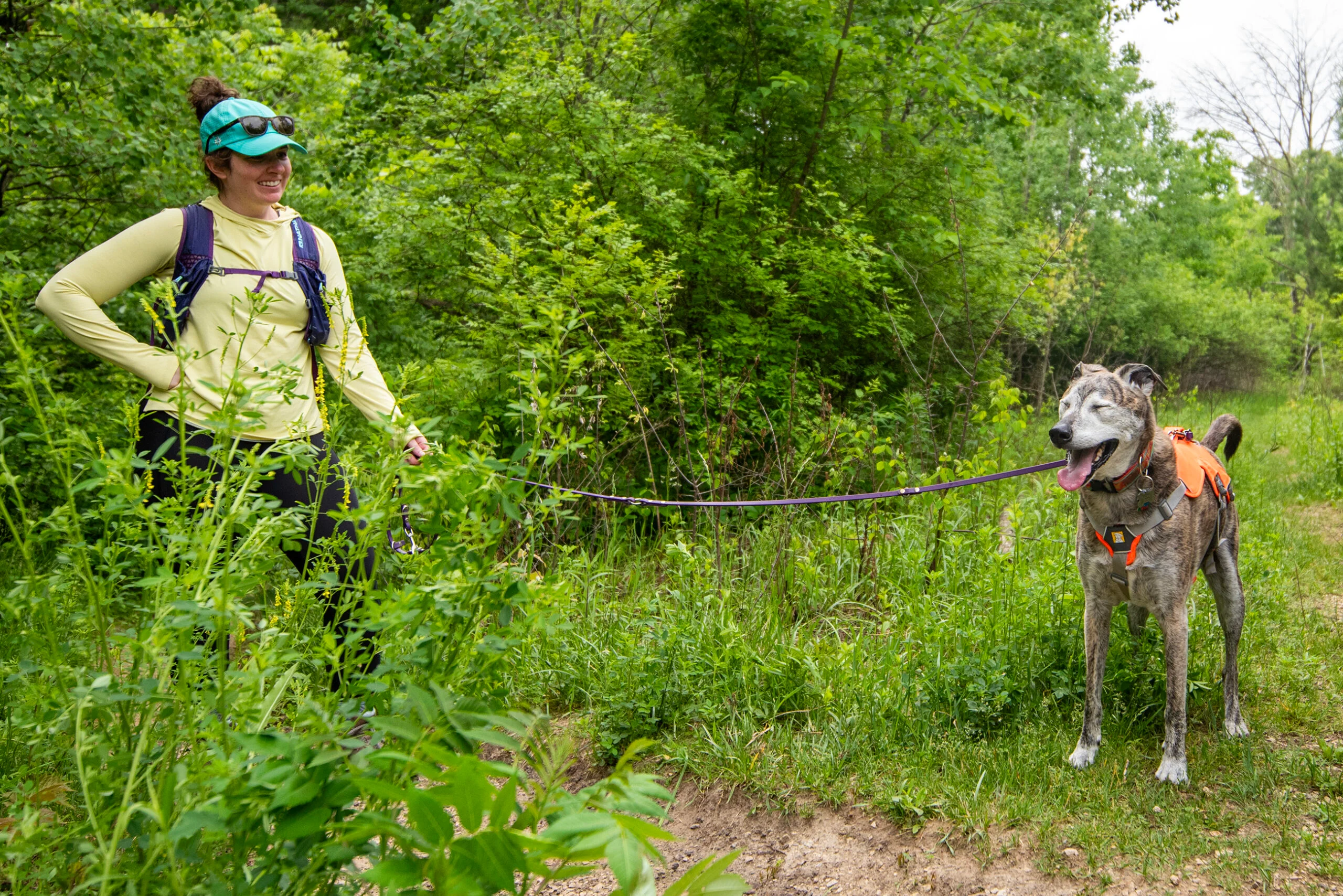 A hiker holding a short leash as their dog walks calmly on a narrow forest trail, realistic outdoor photo