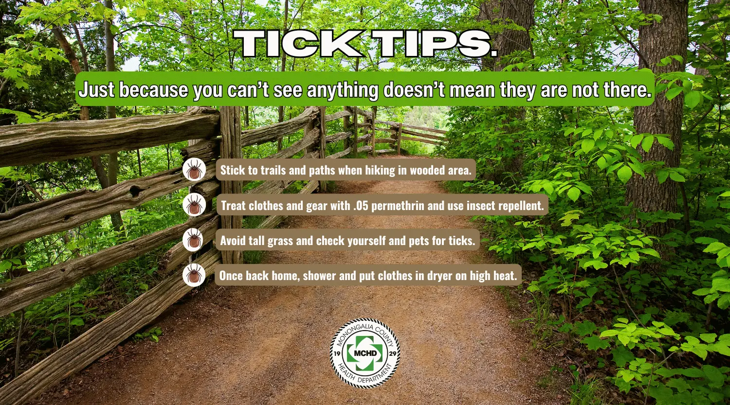 A hiker in long pants and a brimmed hat pausing on a wooded trail while checking their pant leg for ticks in natural afternoon light, realistic outdoor photography