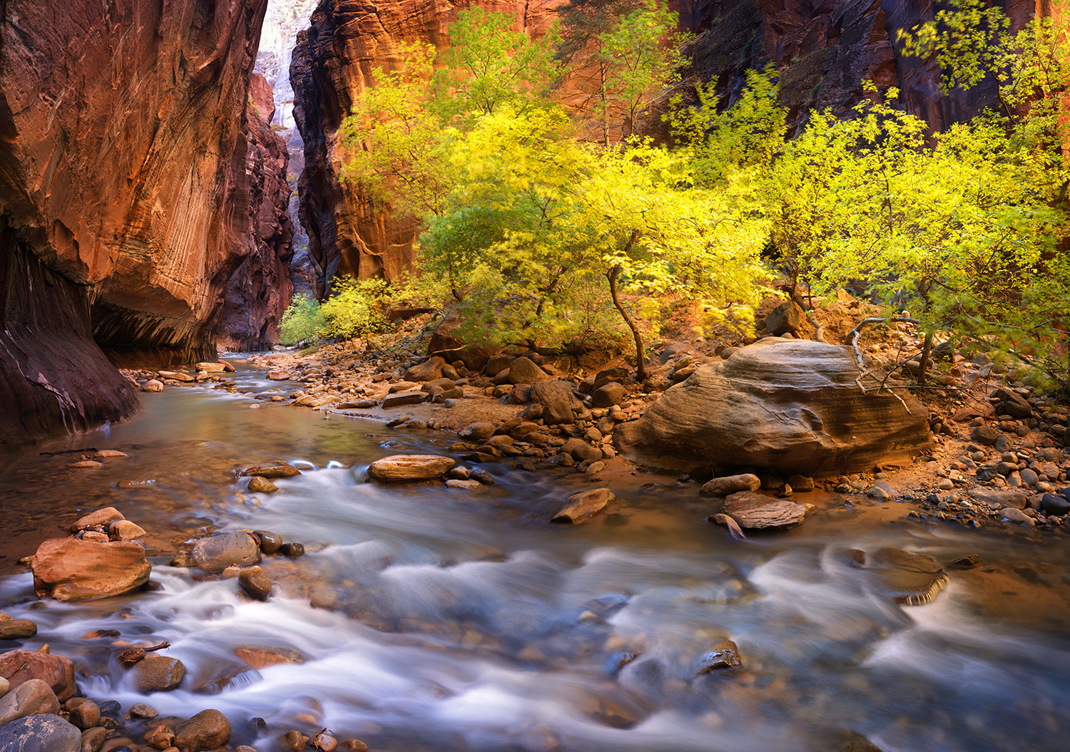 A hiker wading upstream in the Virgin River in Zion Narrows, wearing canyoneering boots and holding a wooden hiking stick, with tall sandstone canyon walls narrowing in the background, natural light reflecting off the water