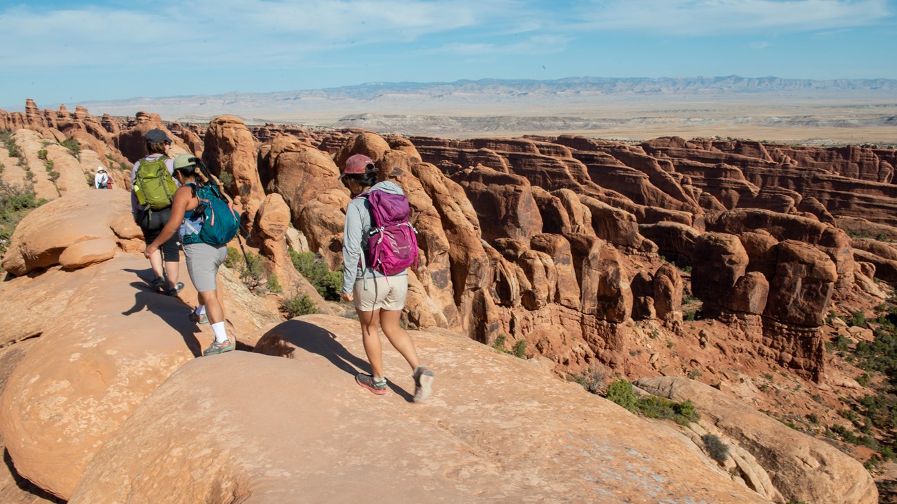 A hiking trail across pale slickrock in Arches National Park, with red rock fins and desert shrubs under a blue sky