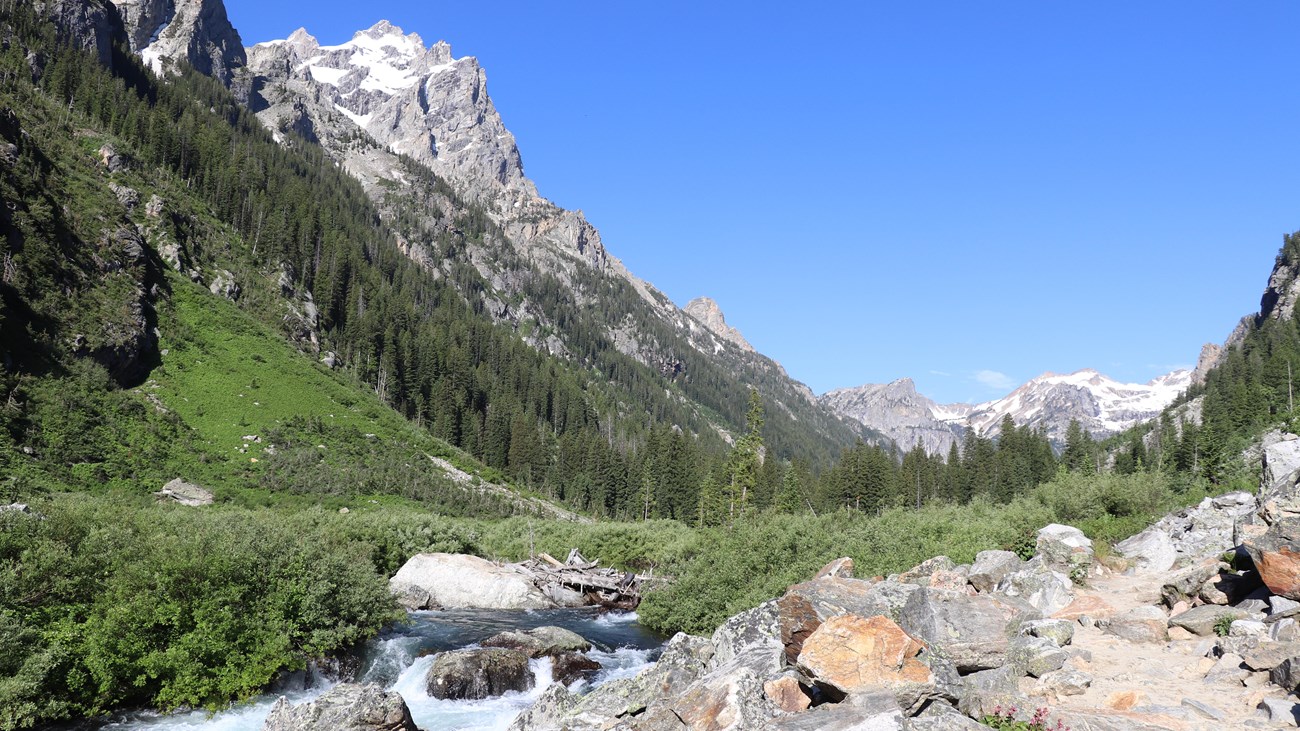 A hiking trail running beside a clear creek in Cascade Canyon with pine trees and steep rocky mountainsides rising on both sides, documentary photo style