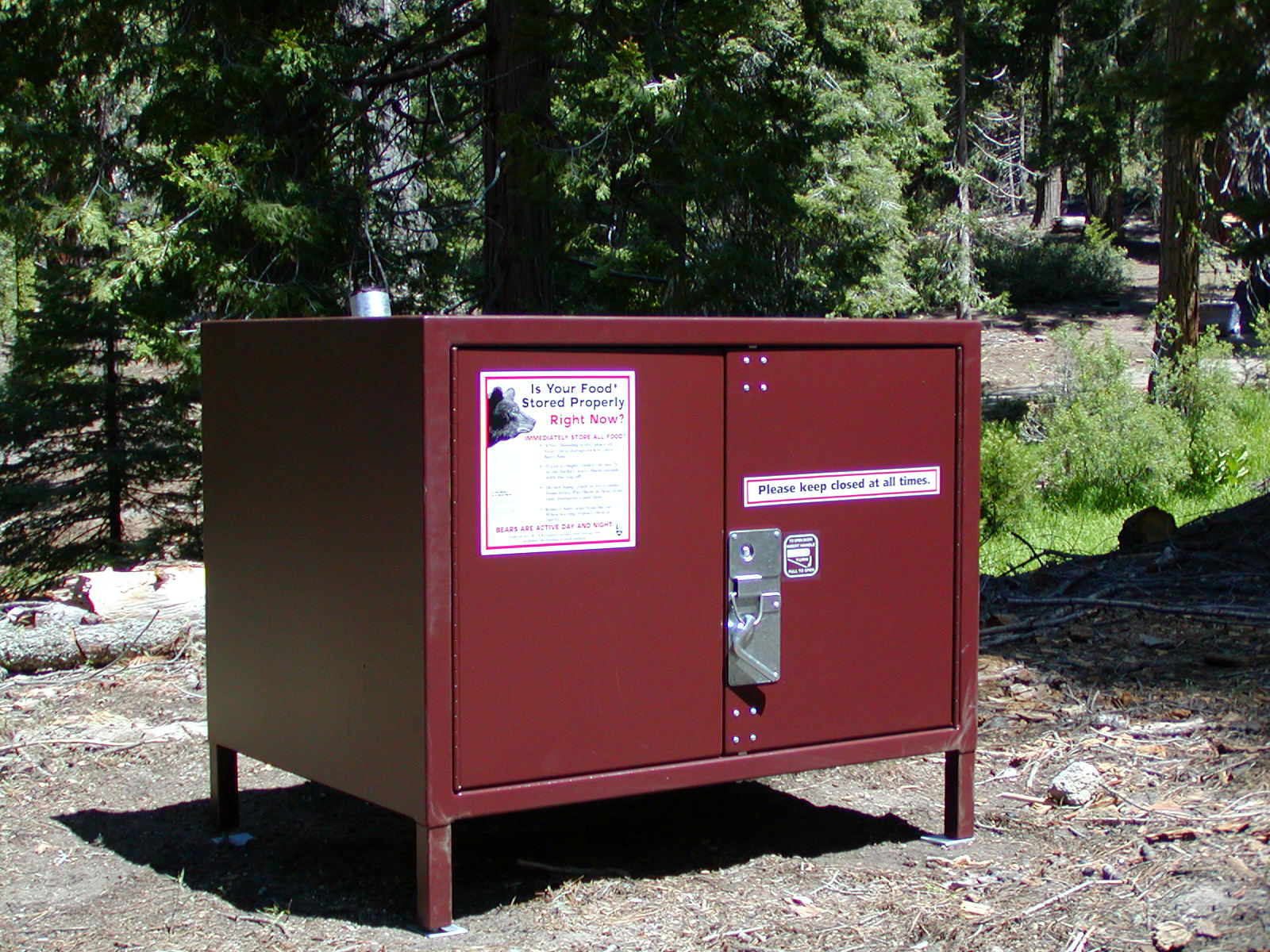 A metal bear-proof food locker at a forest campground with a camper placing a sealed food bin inside during daylight, realistic outdoor photography