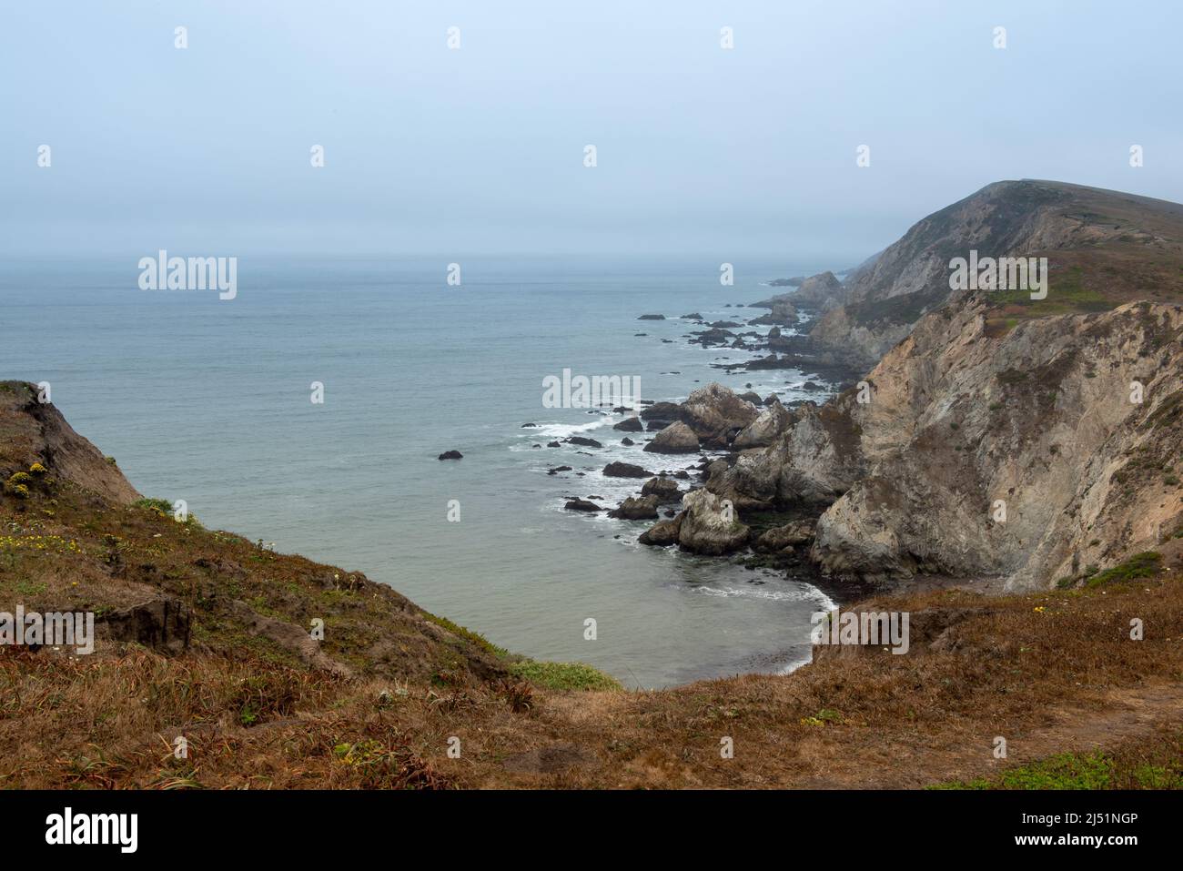 A narrow coastal trail at Chimney Rock in Point Reyes on a foggy morning with low shrubs and a cliffside drop beyond, natural light landscape photo