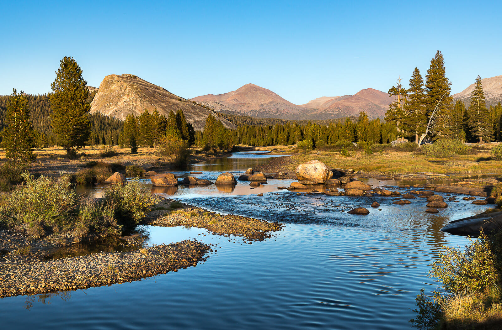 A naturalistic photograph of the Tuolumne River winding through Tuolumne Meadows with sunlit grasses, lodgepole pines, and granite domes in the background