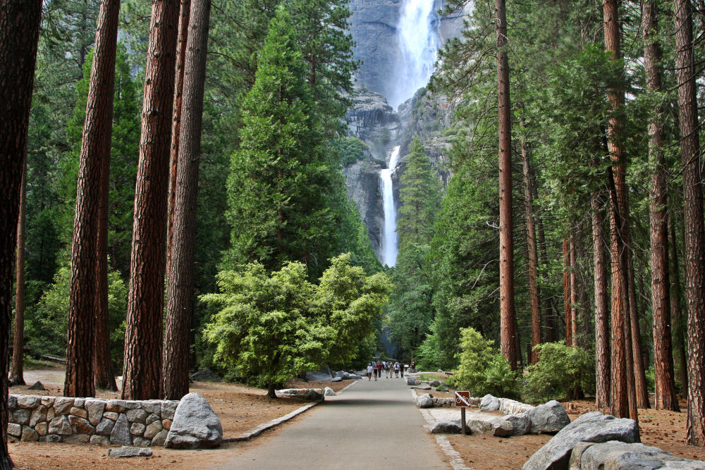 A photograph taken from the Lower Yosemite Fall viewing area with the waterfall dropping from a tall granite cliff, pine trees framing the scene, and a paved path in the foreground