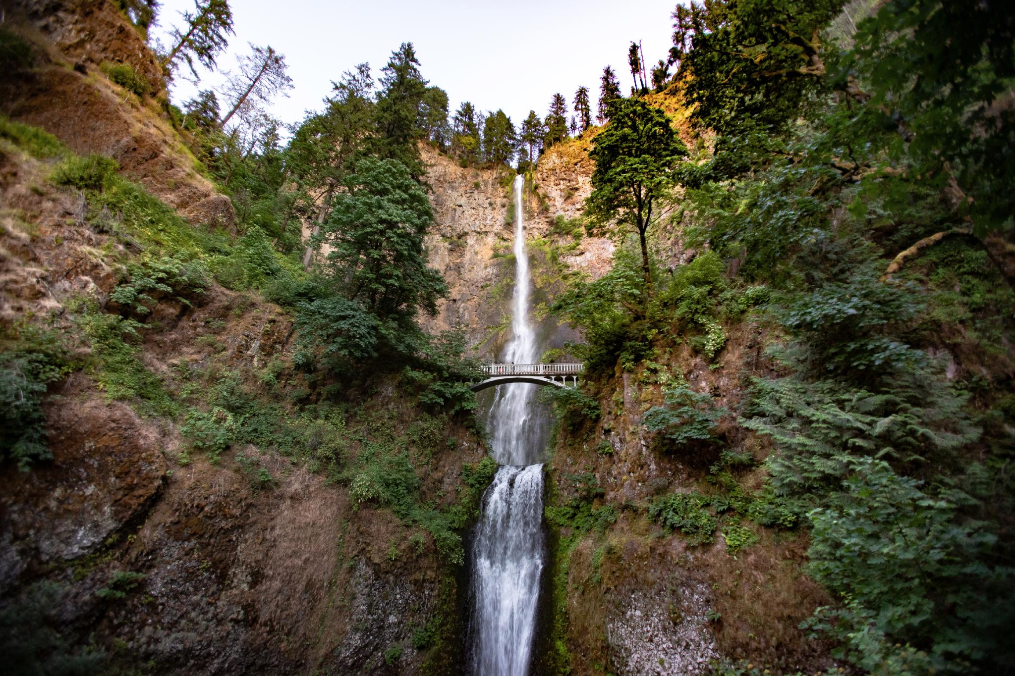 A photorealistic view of Multnomah Falls in the Columbia River Gorge with the arched footbridge centered in the frame and mist rising from the waterfall, travel photography style