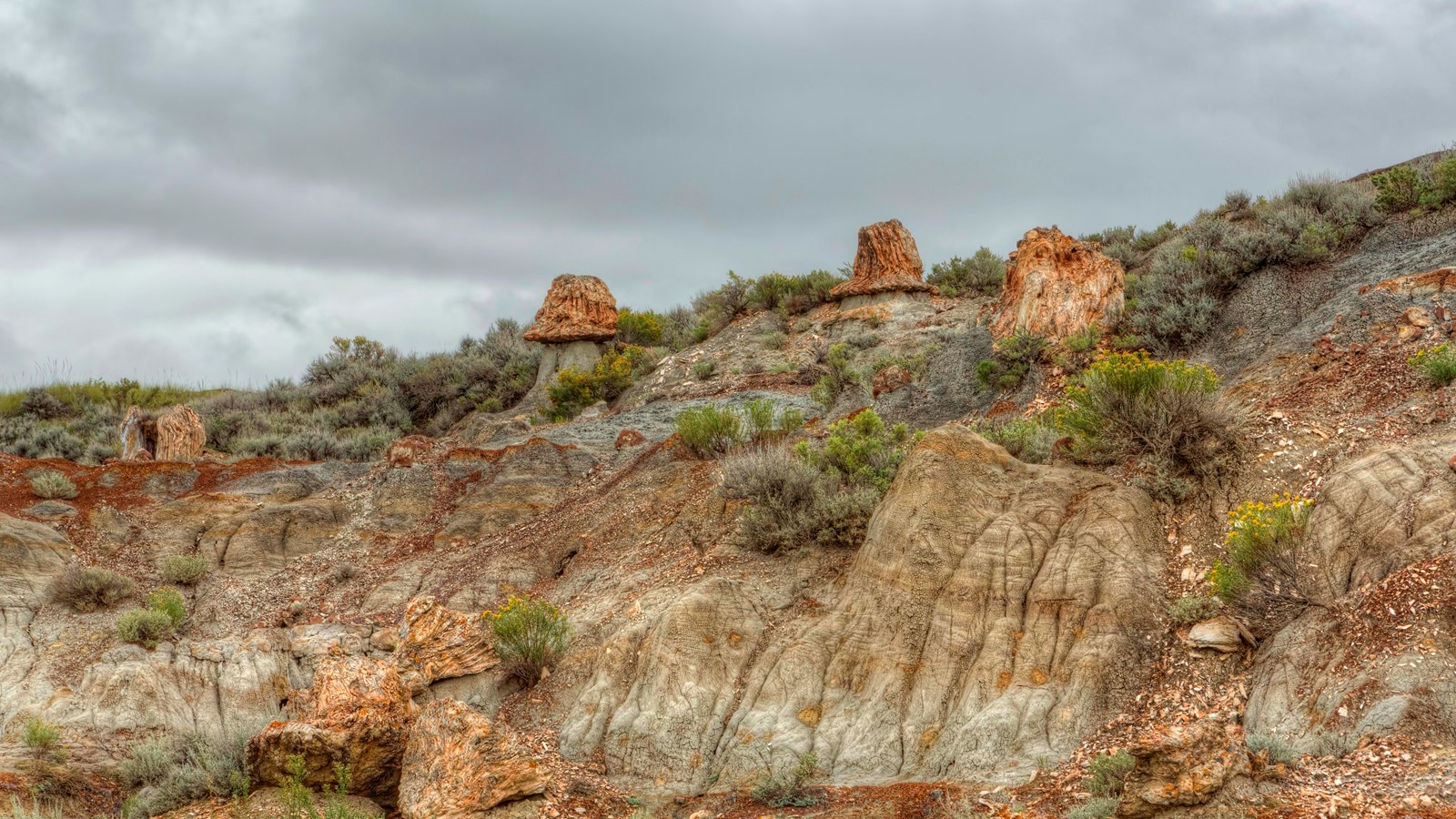 A piece of petrified wood resting among pale badlands soil and small rocks beside a hiking trail in Theodore Roosevelt National Park South Unit, close-up travel photo