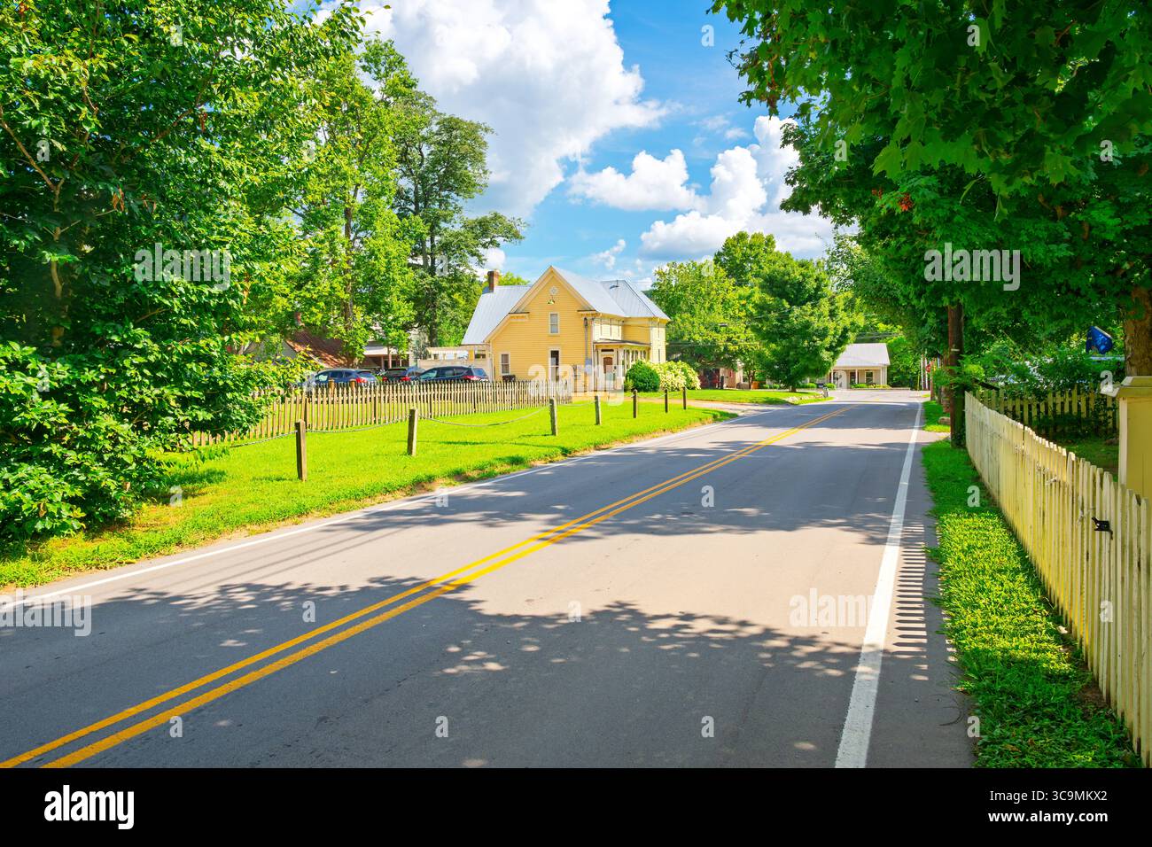A quiet, tree-lined street in Nashville's Green Hills neighborhood with sunlight filtering through leaves and a few pedestrians on the sidewalk