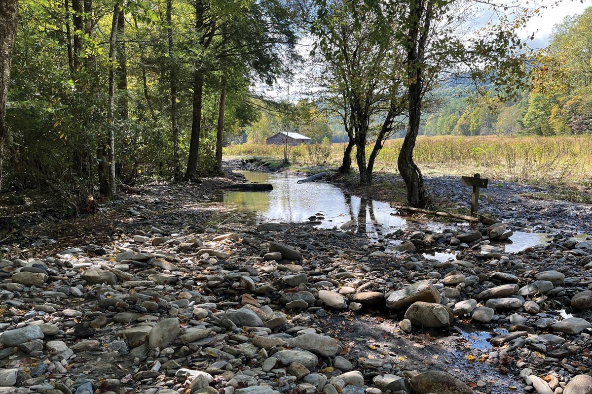 A rain-swollen creek running fast beside a wooded hiking trail, with muddy water and wet rocks in a lush green forest
