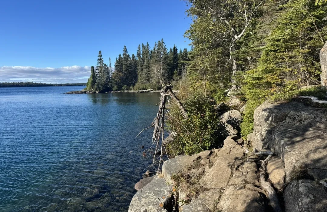 A real-life photograph of a narrow hiking trail on Isle Royale with rocky footing, exposed tree roots, and dense evergreen forest on both sides