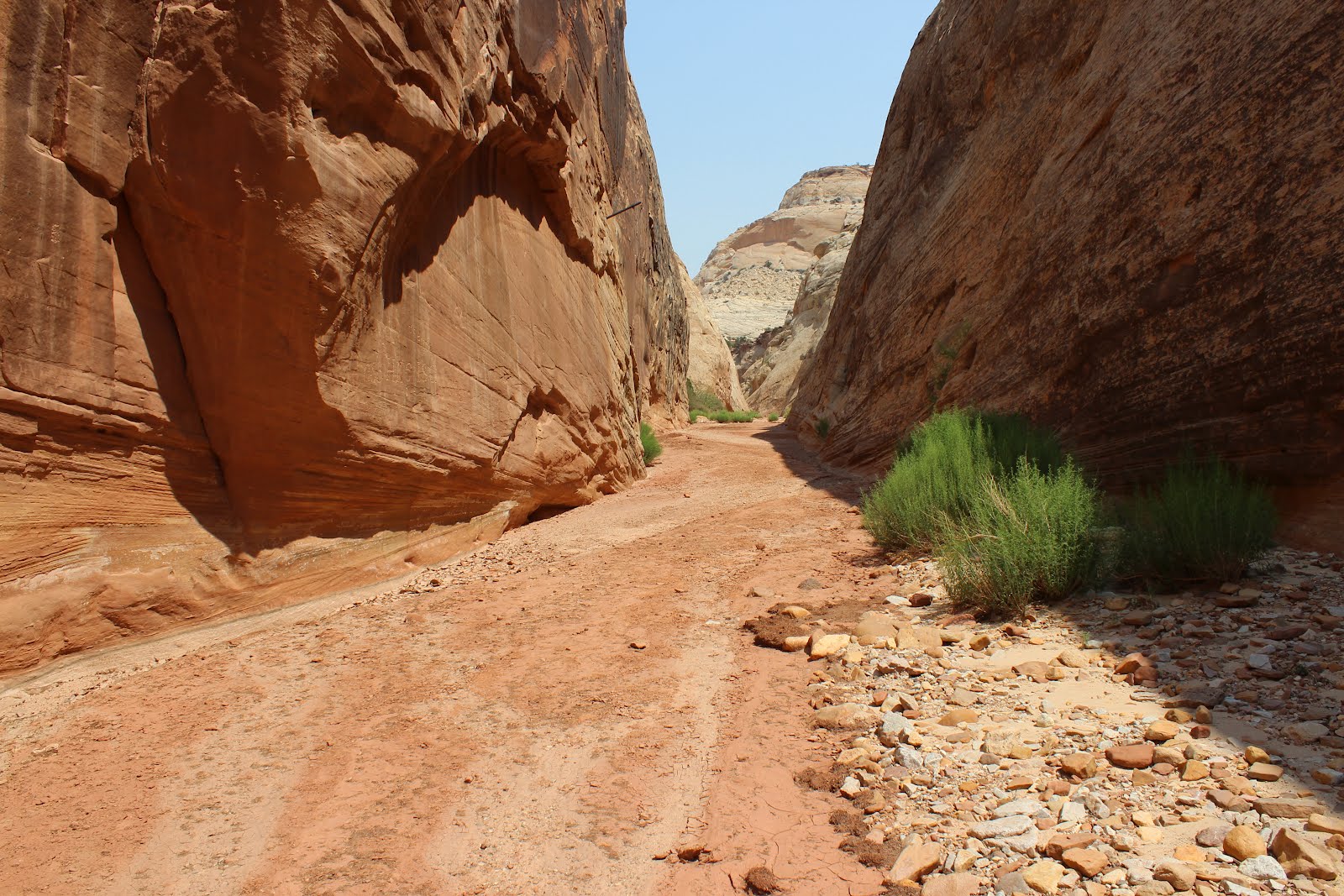 A real photo inside Capitol Gorge in Capitol Reef, showing a sandy wash path winding between towering sheer sandstone walls with reflected warm light