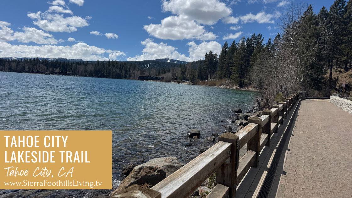 A real photo of a paved lakeside walking path near Tahoe City with pine trees on one side and clear blue Lake Tahoe on the other