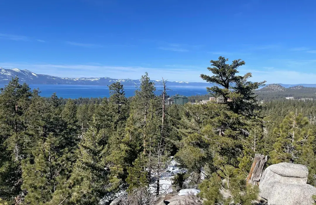 A real photo of a wide dirt trail in Van Sickle Bi-State Park with tall pines and sunlight filtering through, South Lake Tahoe
