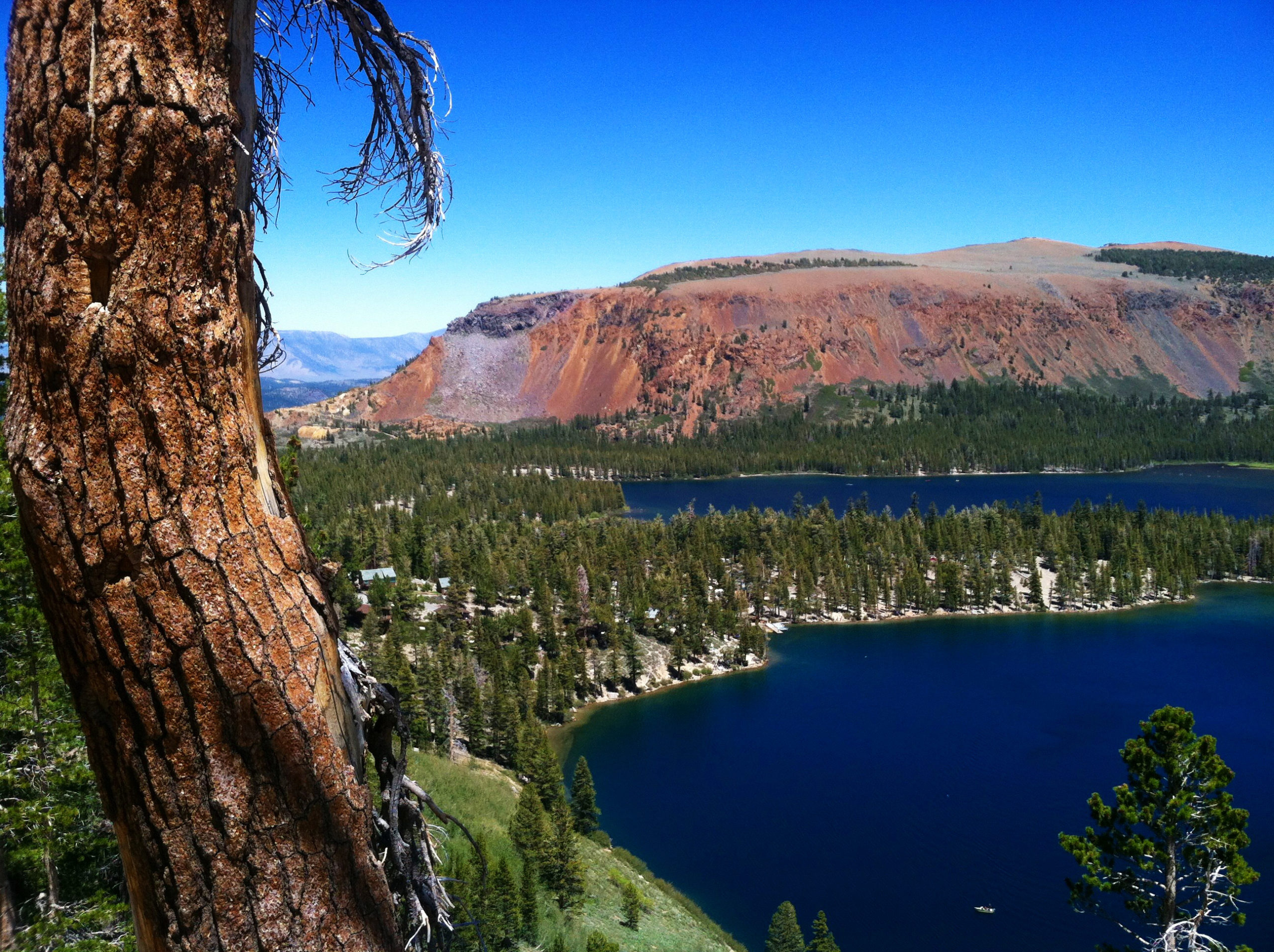 A real photo of an early summer morning at a Mammoth Lakes Basin trailhead with tall pines, parked cars, and distant granite peaks under clear blue sky