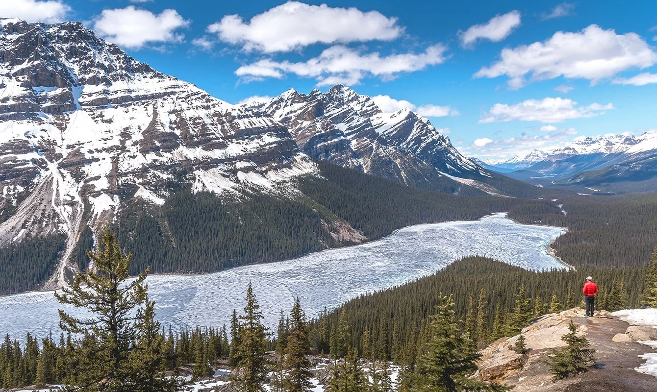 A real photo of the Columbia Icefield Parkway curving through a wide mountain valley on a clear summer day, with evergreen forest in the foreground and jagged snow-streaked peaks in the distance