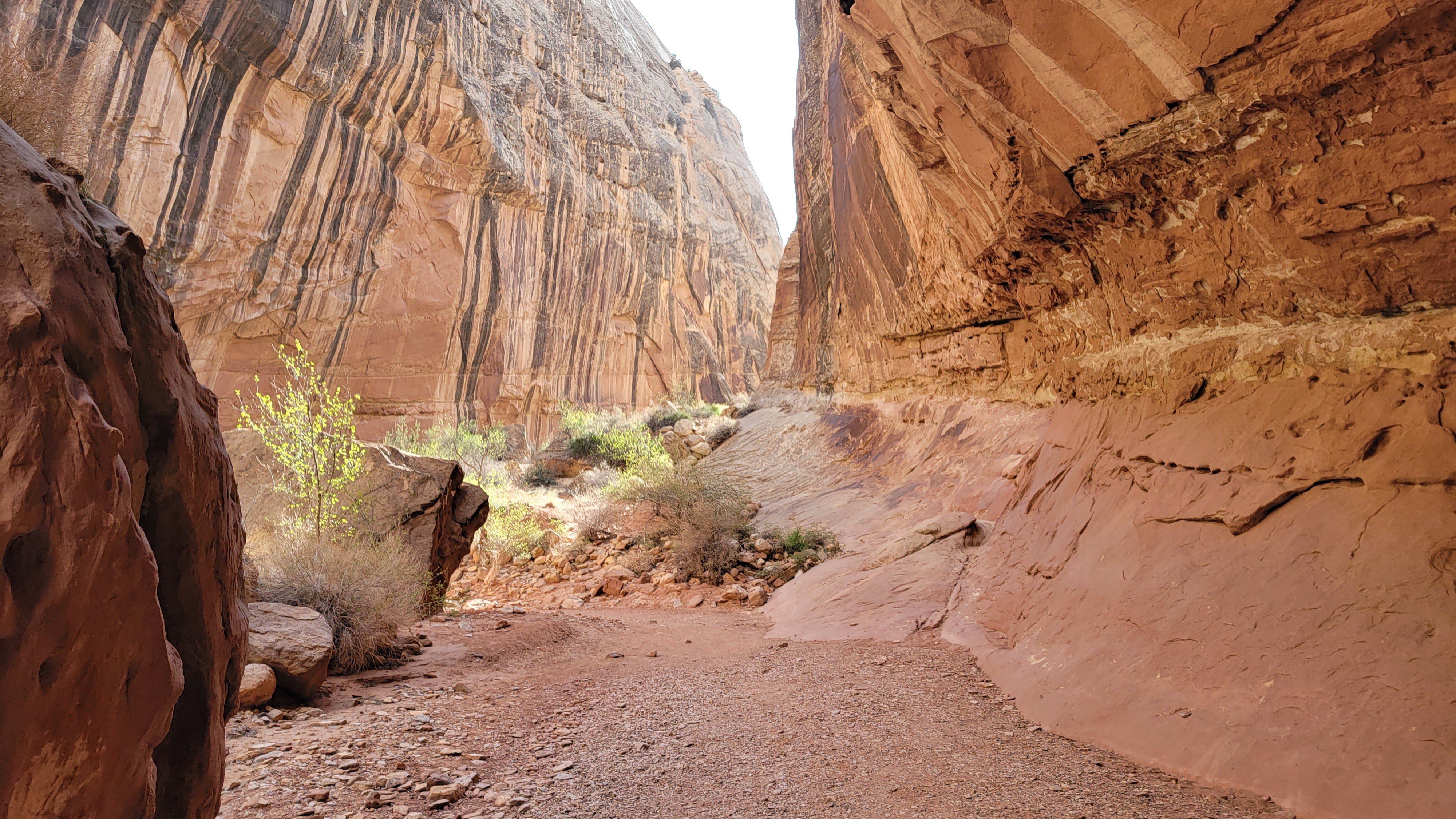A real photo of the Grand Wash in Capitol Reef National Park, with hikers walking along a sandy wash between tall, narrow red canyon walls