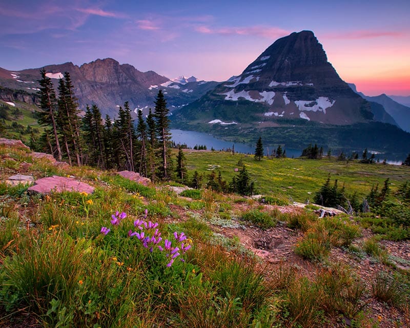 A real photograph at Logan Pass in Glacier National Park on a summer day, with hikers on the Hidden Lake Overlook boardwalk and rugged alpine peaks rising behind them
