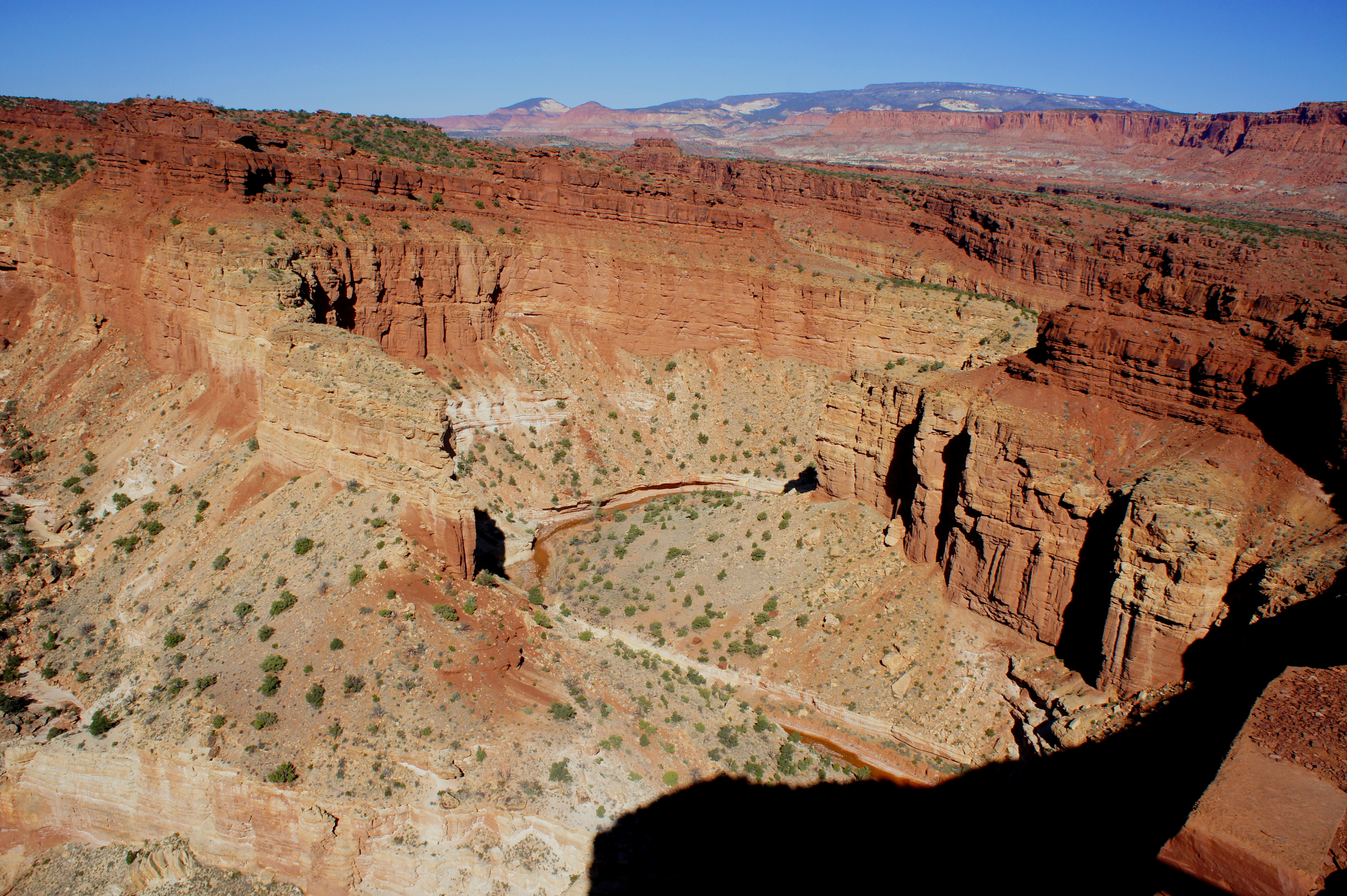 A real photograph from Capitol Reef Goosenecks Overlook showing winding canyon bends and layered tan and red rock under clear midday light