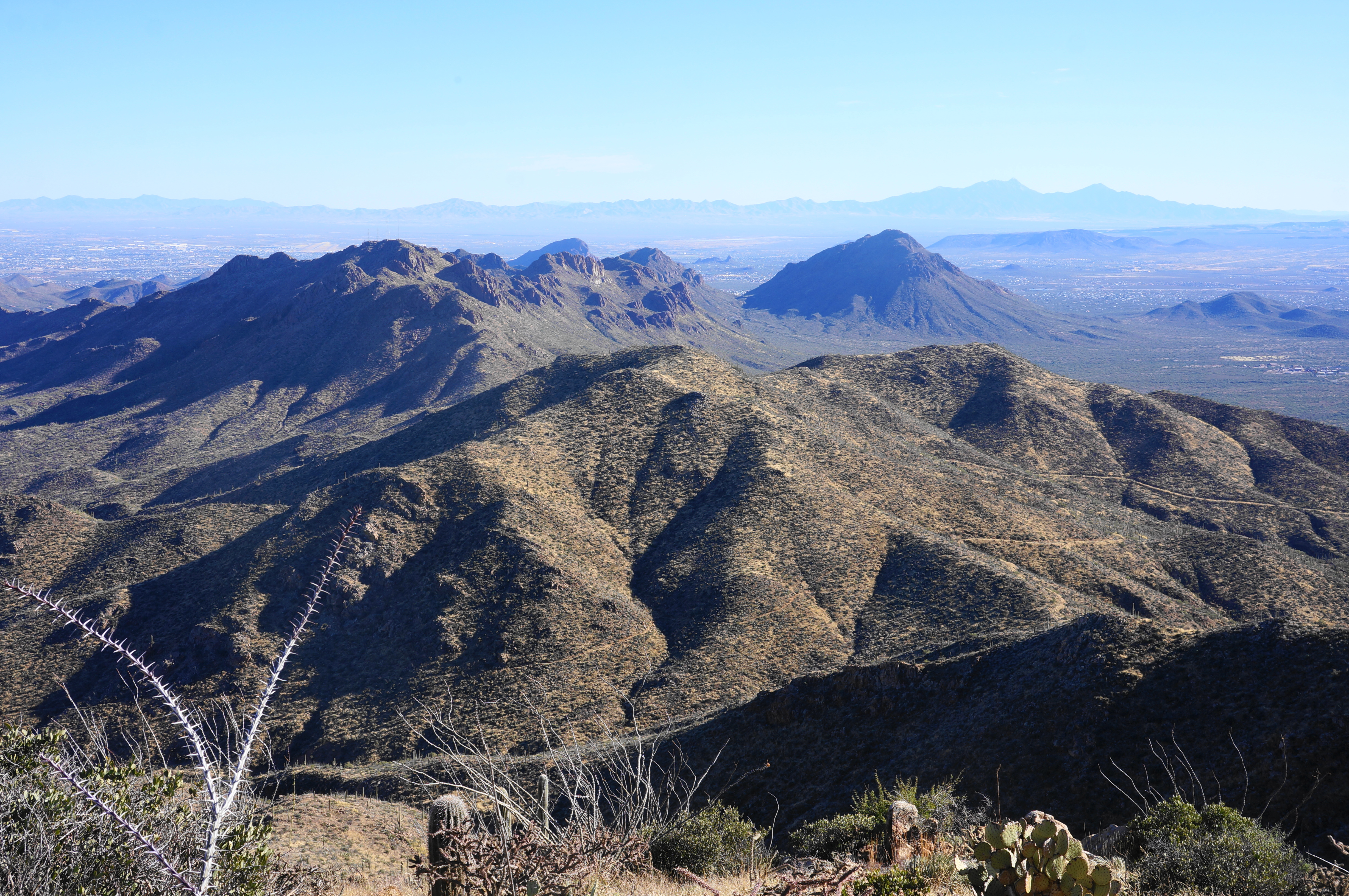A real photograph from Wasson Peak summit in the Tucson Mountain District, looking out over Tucson and the surrounding desert under a clear blue sky