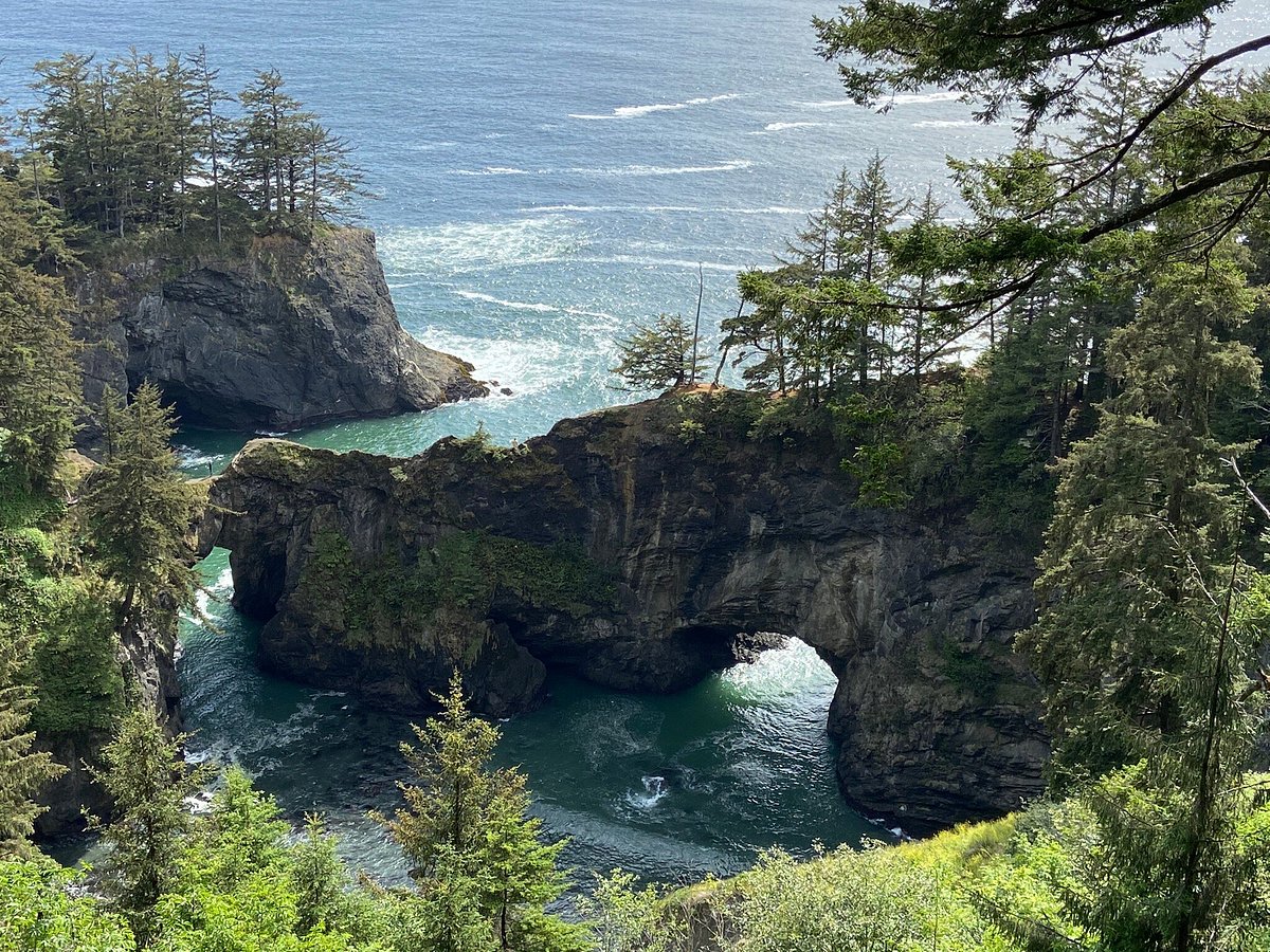 A real photograph from a coastal overlook in Samuel H. Boardman Scenic Corridor showing rocky sea arches and bridges surrounded by evergreen forest above the Pacific Ocean