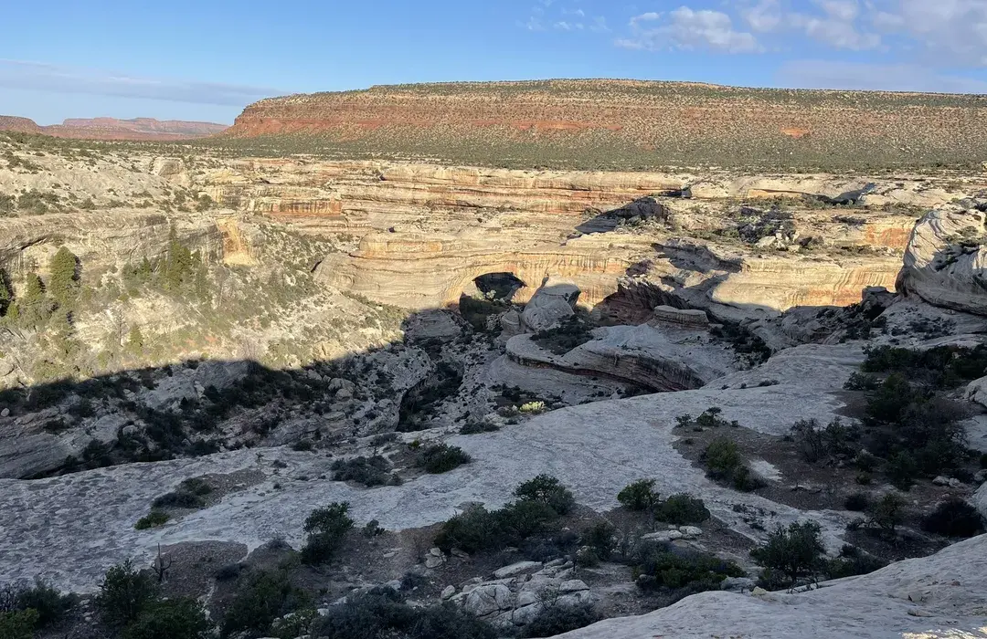 A real photograph from the Sipapu Bridge overlook at Natural Bridges National Monument, showing the distant sandstone bridge framed by rugged canyon walls and pinyon-juniper vegetation on the rim