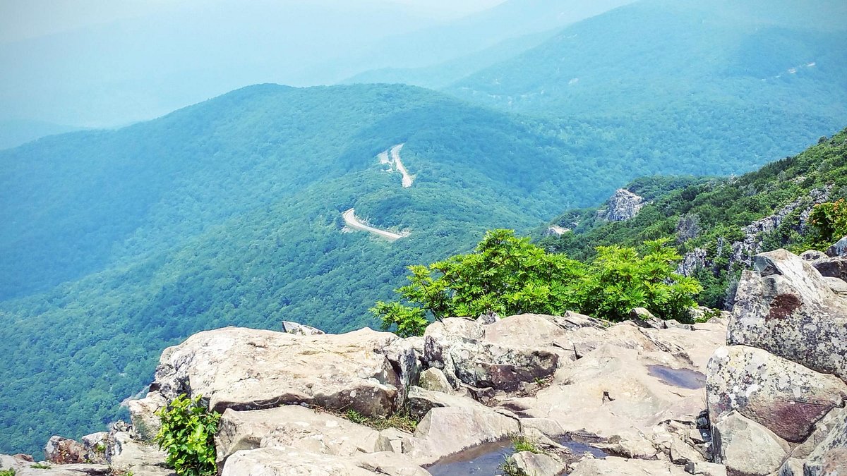 A real photograph from the Stony Man summit area in Shenandoah National Park, with rocky outcrops in the foreground and sweeping valley views under soft morning light