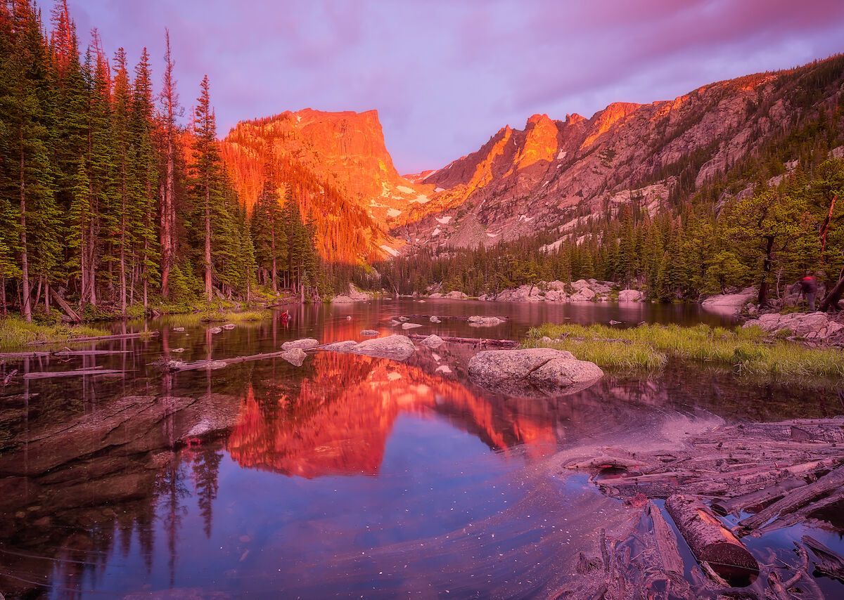A real photograph of Bear Lake at sunrise in Rocky Mountain National Park, with calm water reflecting pine trees and distant mountains under a pink sky