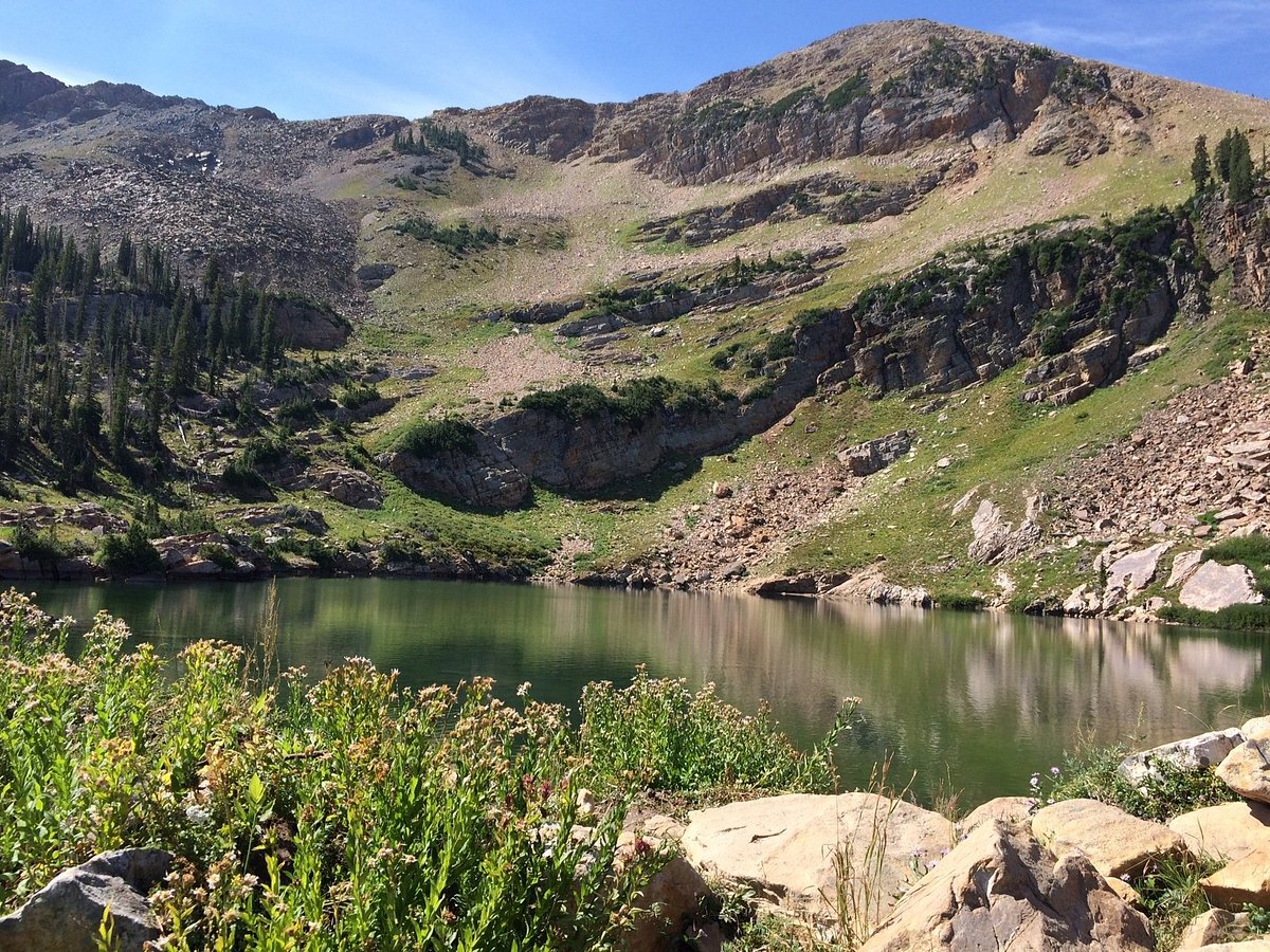 A real photograph of Cecret Lake near Alta, Utah on a clear summer day, showing a small mountain lake with wildflowers along the shore and rocky peaks reflected in the water