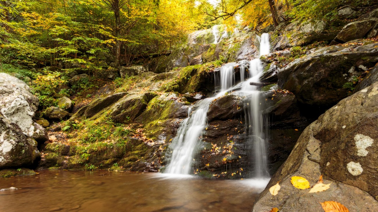 A real photograph of Dark Hollow Falls in Shenandoah National Park, with a narrow stream tumbling down a rocky chute in a shaded green forest