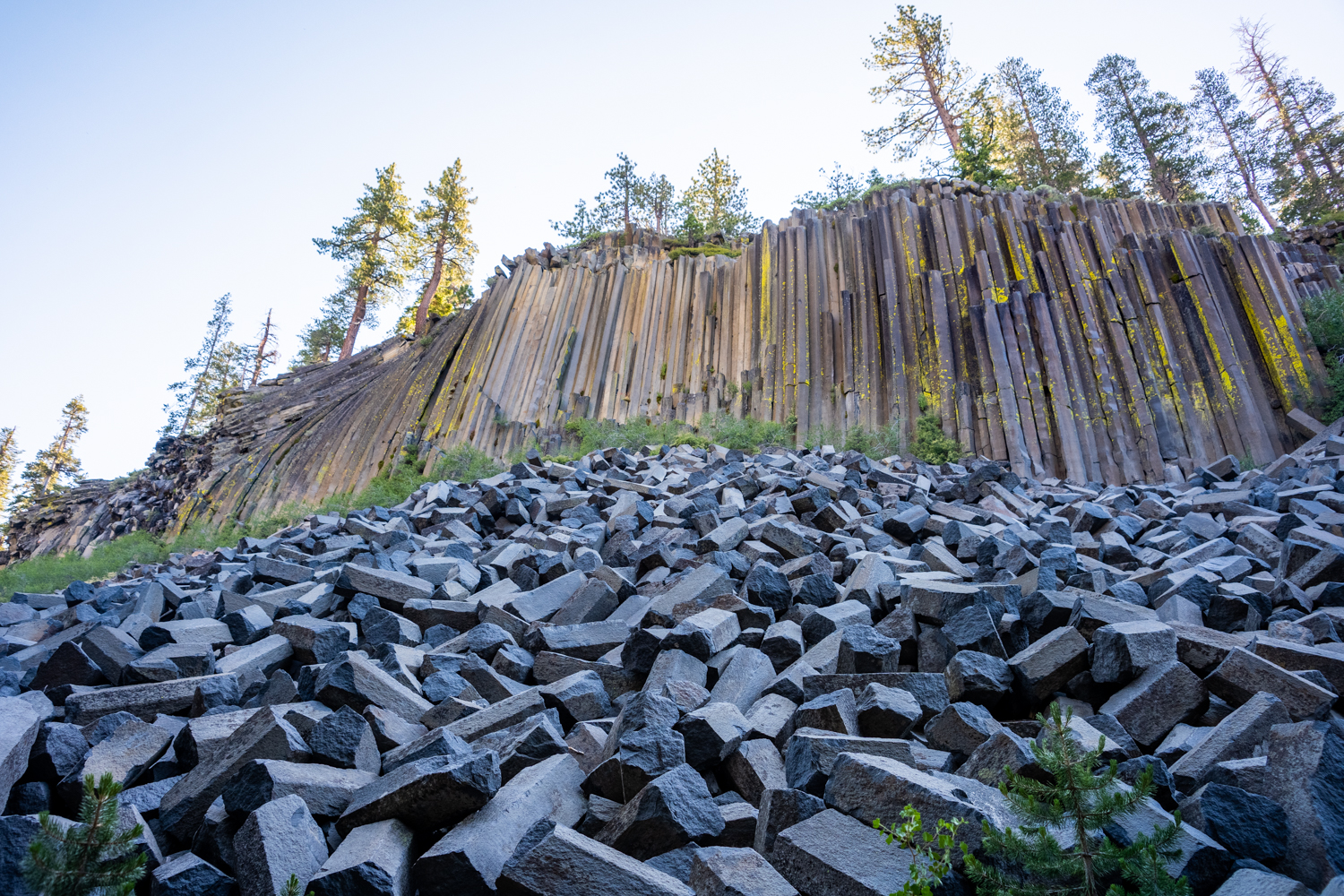 A real photograph of Devils Postpile basalt columns in early morning light, with tall hexagonal rock pillars rising in a tight formation and pine trees surrounding the formation