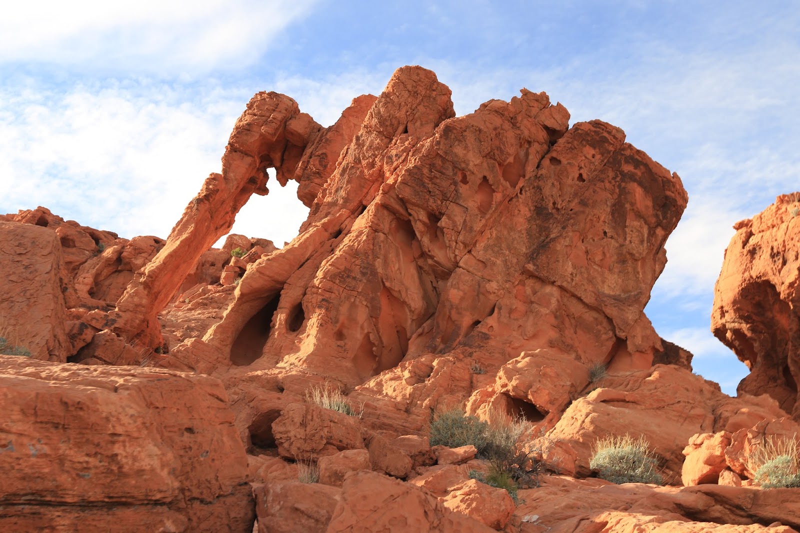 A real photograph of Elephant Rock in Valley of Fire, a red sandstone arch shaped like an elephant, with desert gravel foreground and open sky