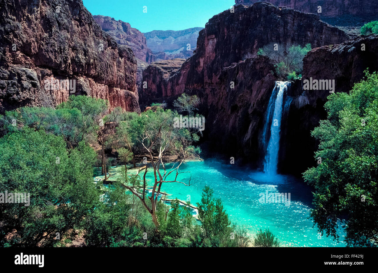 A real photograph of Havasu Falls in the Havasupai Reservation, with bright turquoise water spilling over a wide travertine ledge into a clear pool, red canyon walls and green cottonwoods in the background