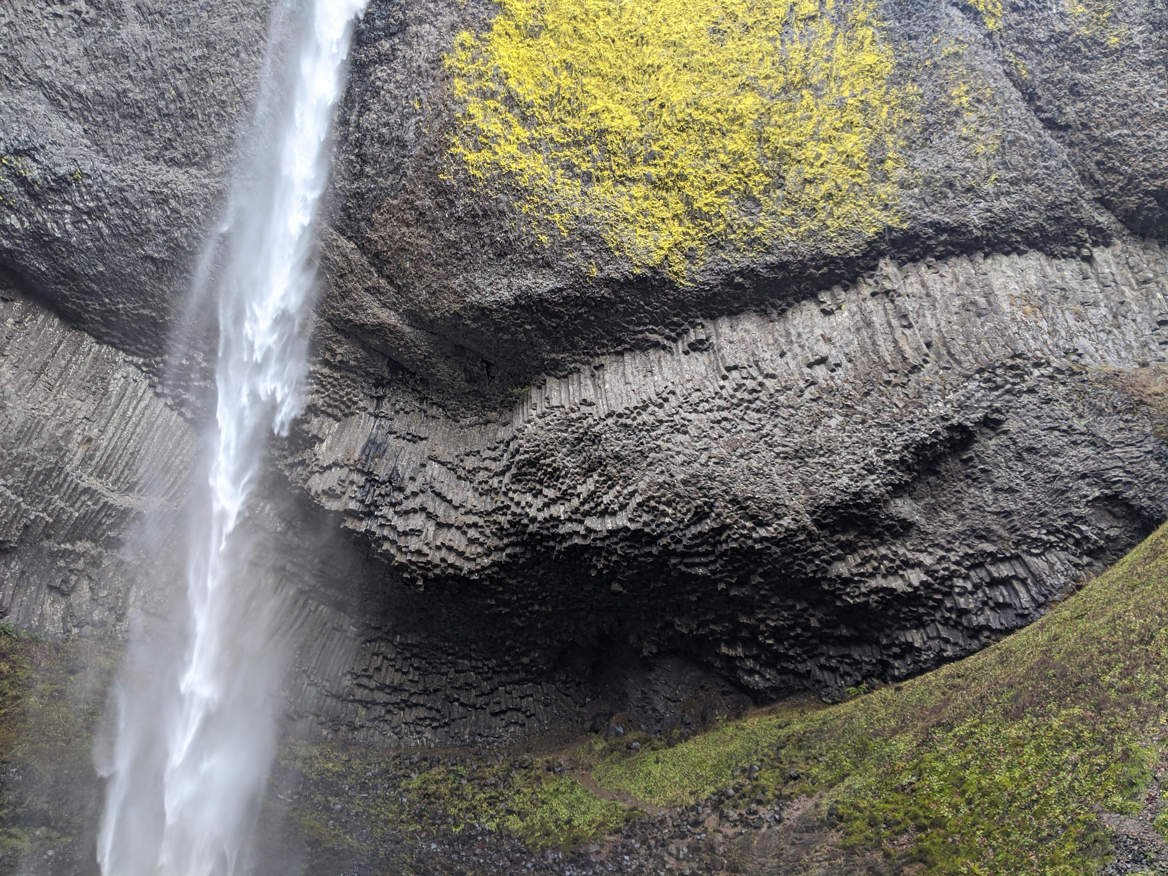 A real photograph of Latourell Falls plunging in a single tall ribbon over dark columnar basalt, with mossy rocks and a damp forest foreground