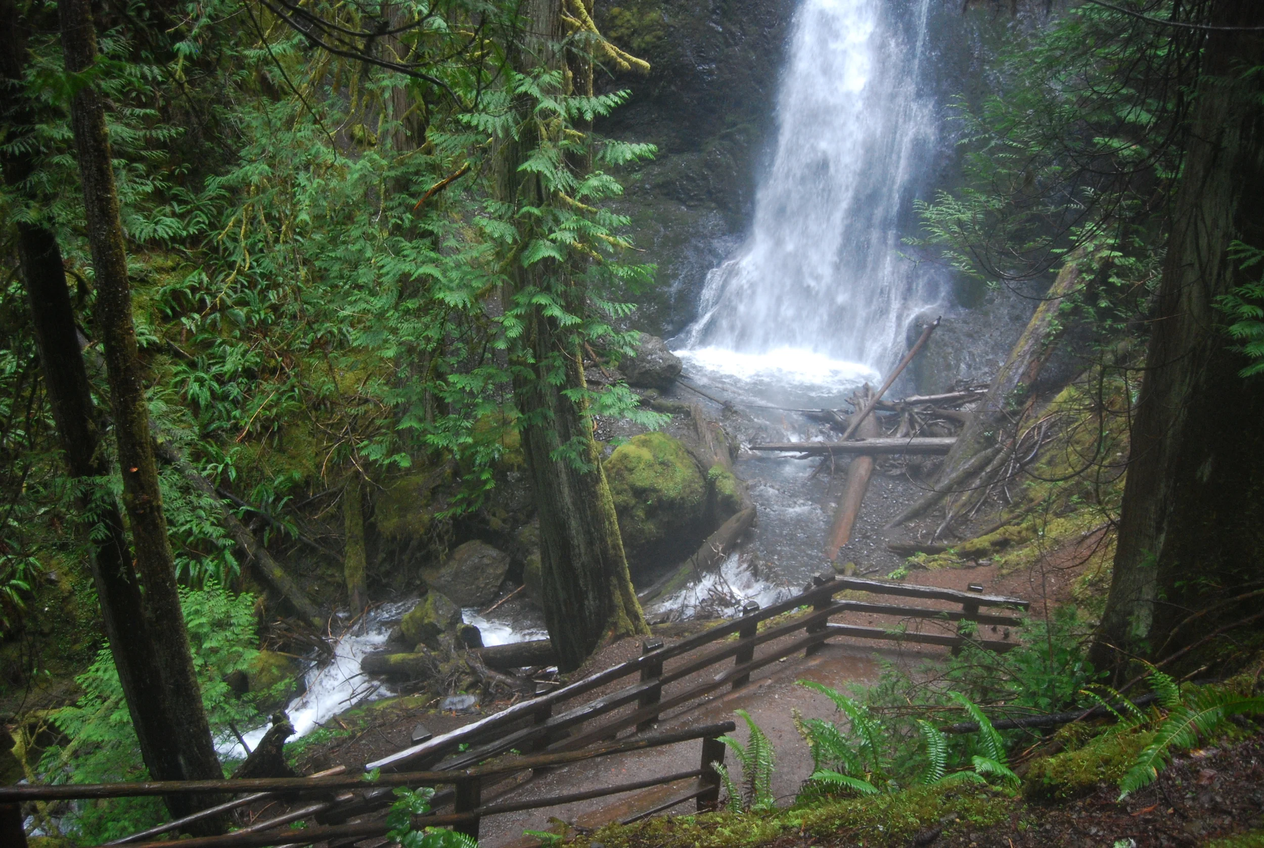 A real photograph of Marymere Falls framed by tall evergreen trees, water dropping into a shaded gorge, with a wooden viewing platform partially visible