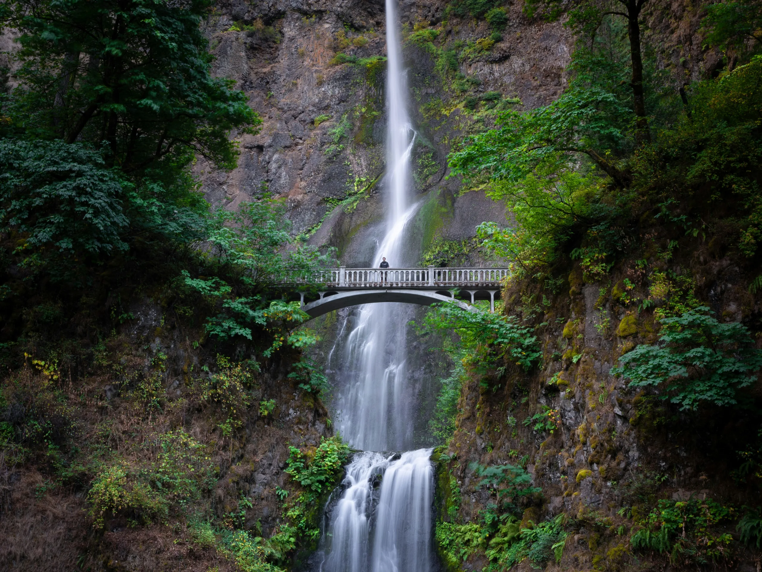 A real photograph of Multnomah Falls in the early morning with light mist in the air, the Benson Bridge visible across the lower cascade, and evergreen trees framing the scene