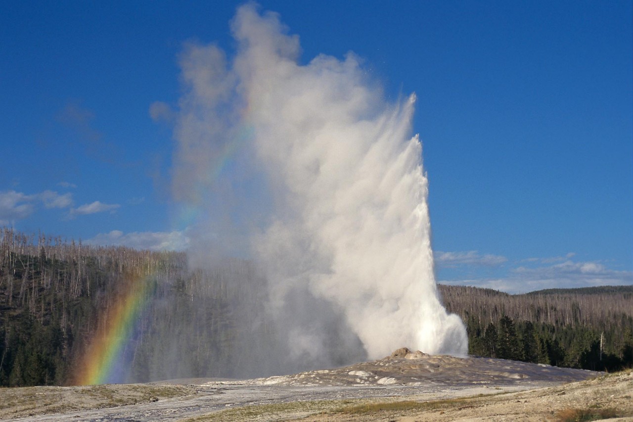 A real photograph of Old Faithful erupting in Yellowstone National Park with a tall white plume of steam against a blue sky and visitors watching from the boardwalk