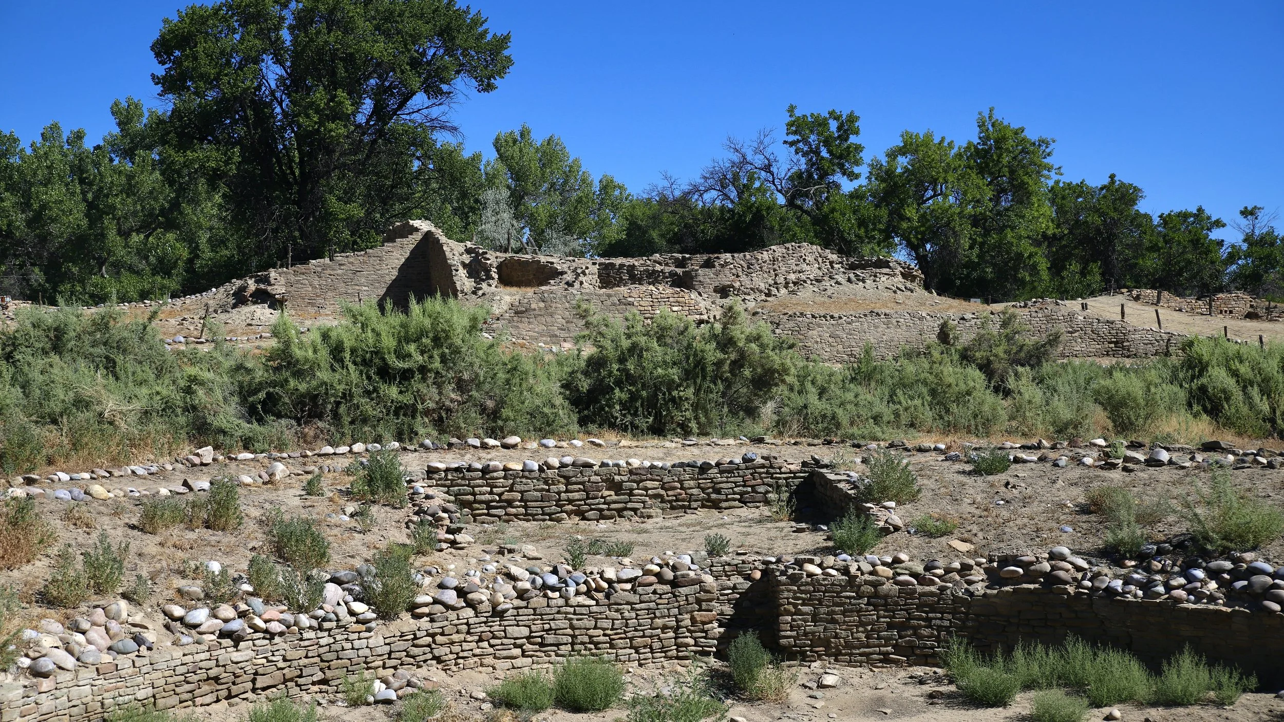 A real photograph of Salmon Ruins near Bloomfield, New Mexico, showing low stone walls of a great house complex under clear daylight