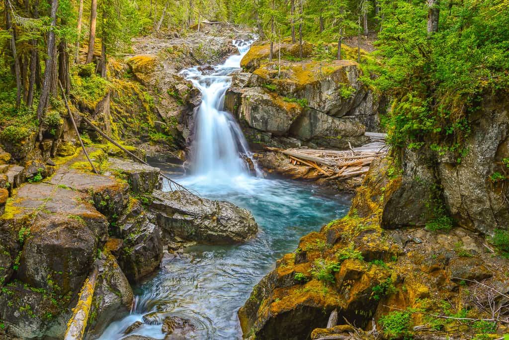 A real photograph of Silver Falls in the Ohanapecosh area with a powerful cascade dropping through dense evergreen forest and mist rising near the base