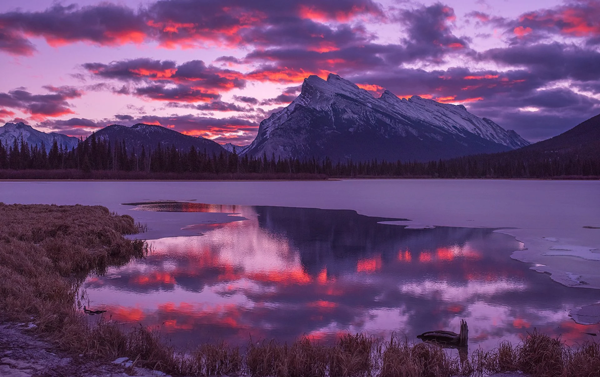 A real photograph of Vermilion Lakes at sunset with still water reflecting Mount Rundle and a band of pink sky