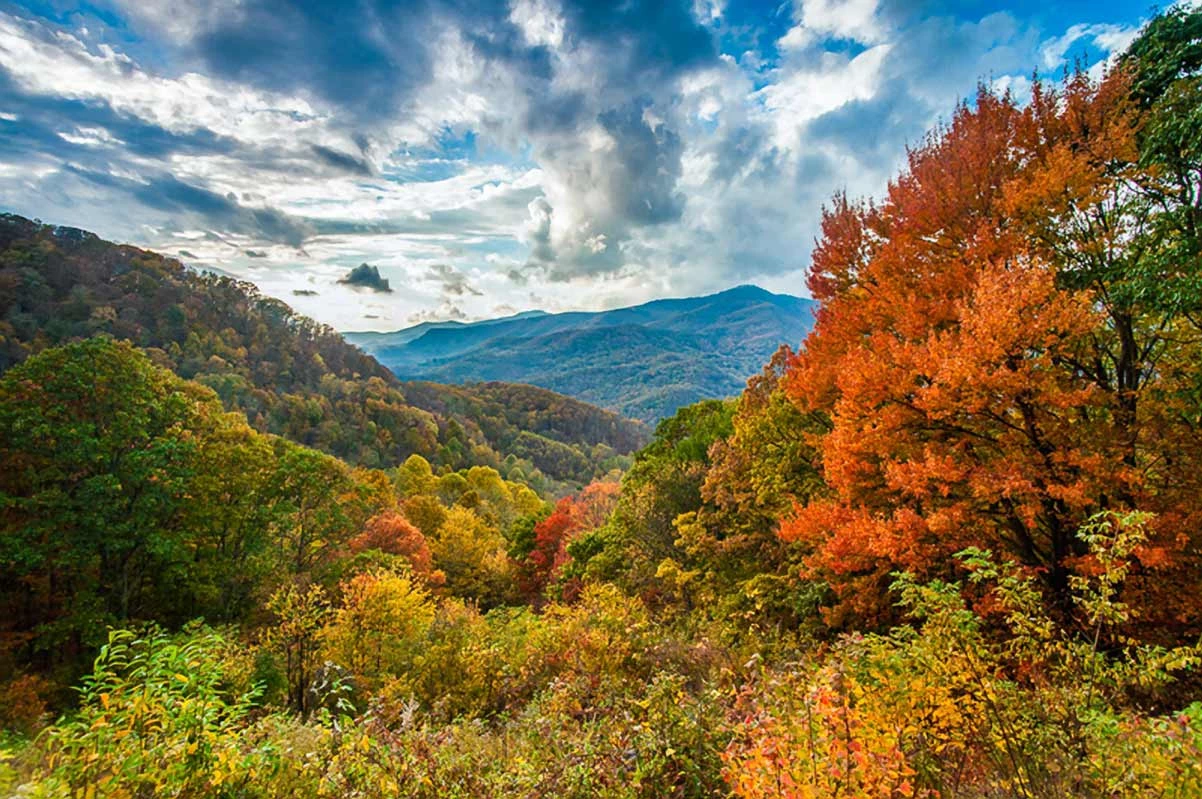 A real photograph of a Blue Ridge Parkway overlook in October, with vivid red and gold trees in the foreground and blue ridges stretching into the distance