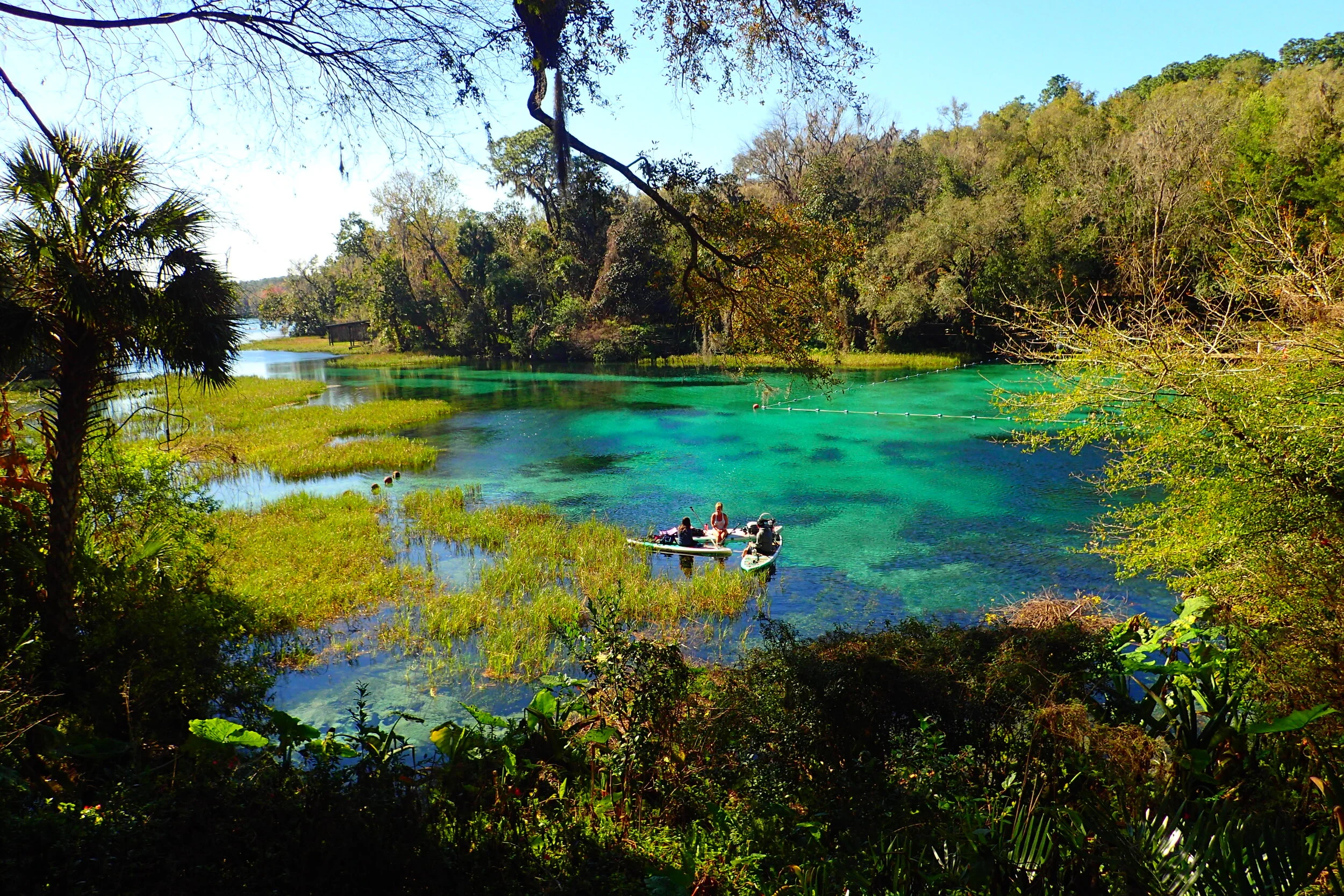 A real photograph of a clear spring fed river with a sandy bottom, overhanging trees, and a narrow trail running alongside the water