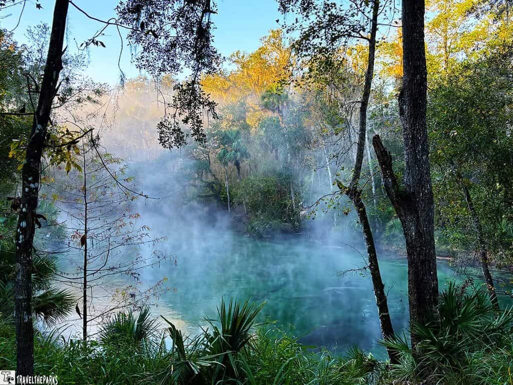 A real photograph of a clear turquoise headspring in Florida in the morning light, with a few swimmers near the edge and trees surrounding the water