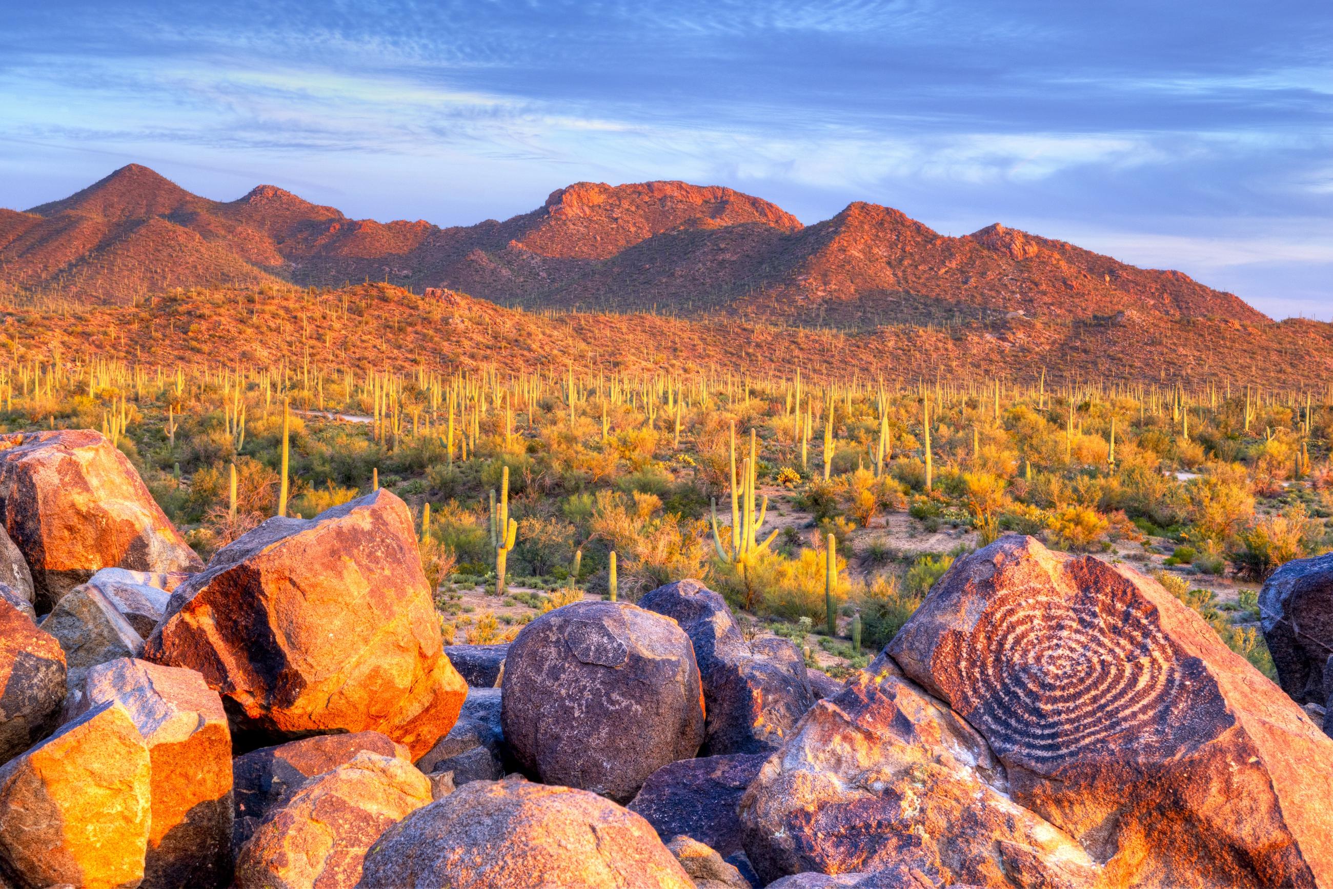 Best Hikes in Saguaro National Park