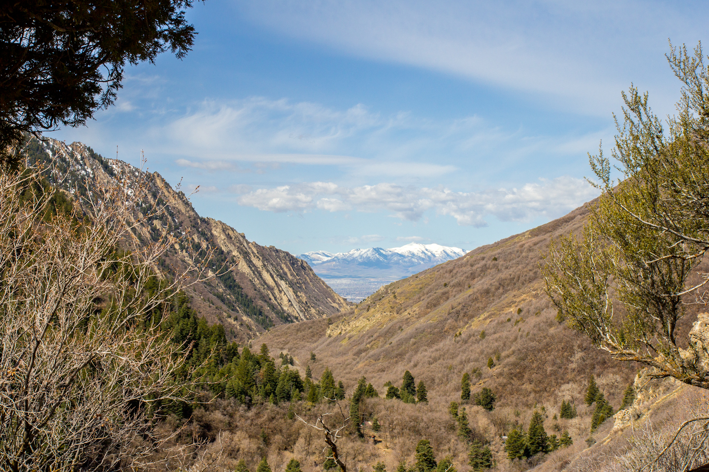 A real photograph of a dirt hiking trail in Mill Creek Canyon near Salt Lake City in spring, with green leaves, patches of lingering snow beside the path, and sunlight filtering through trees