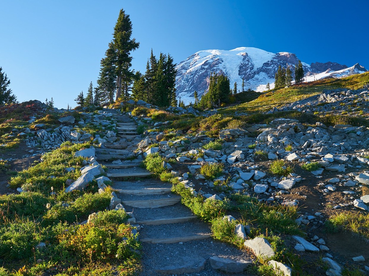 A real photograph of a hiker standing near Panorama Point on the Skyline Trail with Mount Rainier’s glaciers visible and a sweeping view over alpine ridges